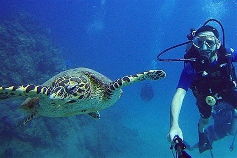 Scuba Diving in Caño Island Costa Rica Dive and Surf