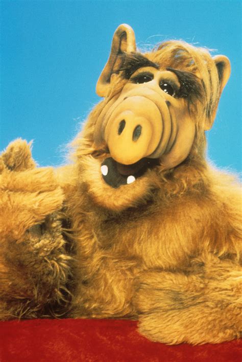 Alf Cast Where Are They Now See What The Stars Are Up To