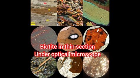 Identification Of Biotite Mineral In Thin Section Under Optical