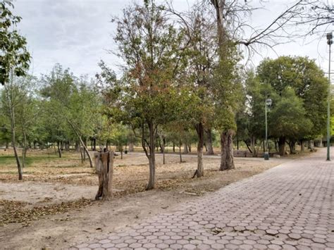 Avanza Creaci N Del Patronato En Parque Las Auras Noticieros Grem