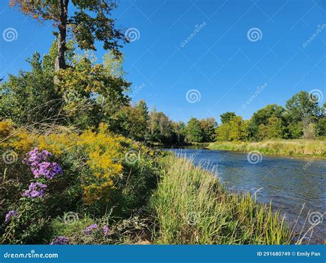 End Of Summer Weather Trail And Trees Stock Image Image Of Flower Summer 291680749