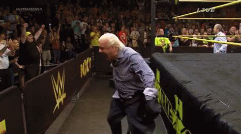 Ric Flair GIF - RicFlair - Discover & Share GIFs