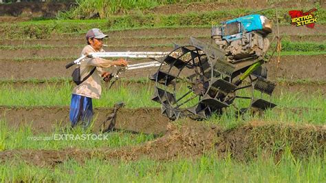 Traktor Sawah Mini Quick Bekerja Mengolah Lahan Rumput Tebal YouTube