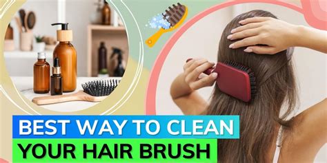 How To Wash Your Hairbrush Properly Cleaning Expert Shares Tips Editorji