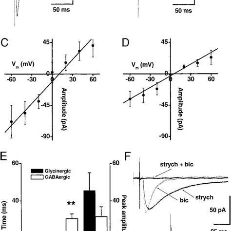 Examples Of Electrically Evoked Pscs Epscs Induced By Minimal