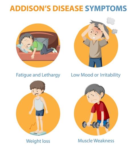 12 Addisons Disease Symptoms Stock Vectors And Vector Art Shutterstock