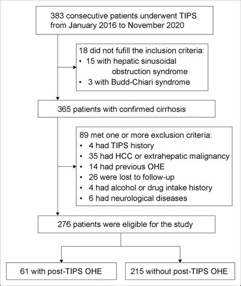 Flow Chart Of The Patient Selection Protocol Hcc Hepatocellular