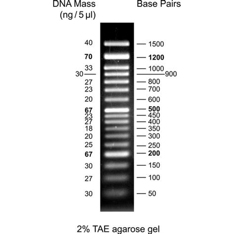 Genedirex Gd Kplus Dna Ladder Rtu Fiyat Taksit Se Enekleri