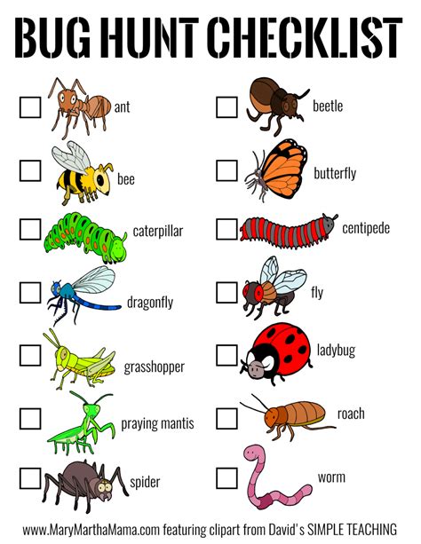 Bug Sensory Bin & Bug Hunt Printable – Mary Martha Mama | Insects theme ...