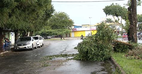 G1 Chuva Derruba Várias árvores E Deixa 20 Mil Imóveis Sem Luz Em