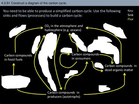 Ecology Unit Ib Biology Diagram Quizlet