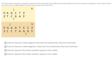 Solved The Figure Below Shows The Recognition Sequences And