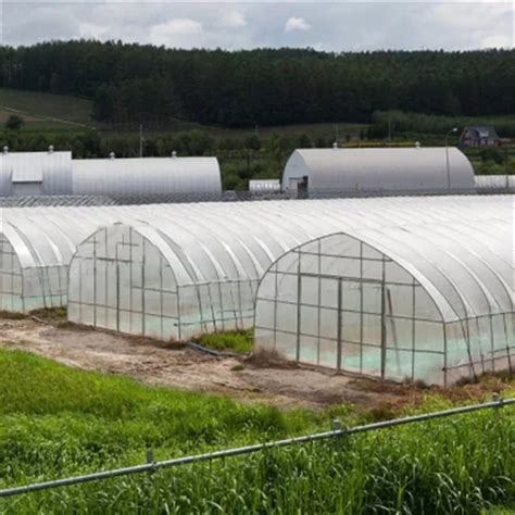 Agricultural Single Span Poly Tunnel Film Greenhouse Hydroponics System