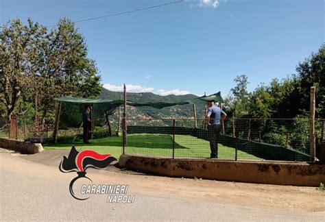 Agerola Ruba Unauto Inseguito Fino A Furore Arrestano Cittadino Tedesco