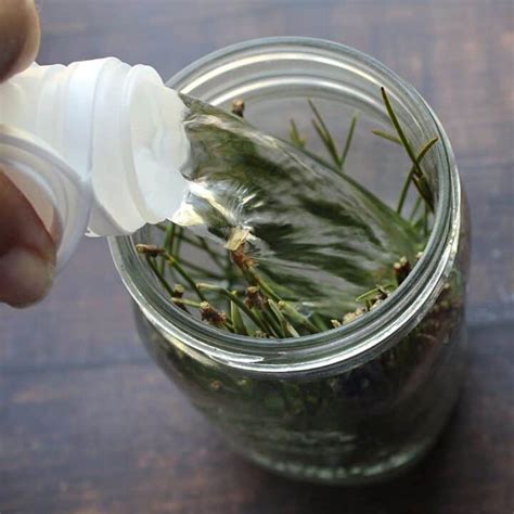 Pine Vinegar DIY Kitchen Cleaner An Off Grid Life