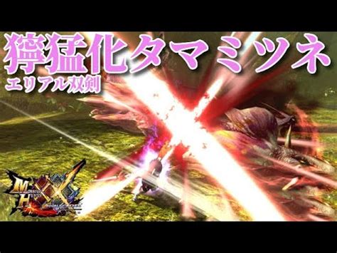 MHXXG4 獰猛化タマミツネ エリアルx双剣ソロ Dual Blades Solo Aerial Mizutsune HYPER