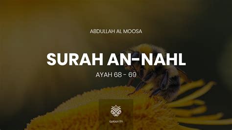 Quran's Lesson Surah An-Nahl 16, Verse 68-69, Part 14, 56% OFF