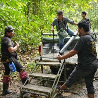 Tabin Wildlife Reserve The Best Borneo Safari Experience