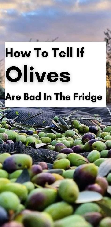 How To Tell If Olives Are Bad In The Fridge In Olive Fresh