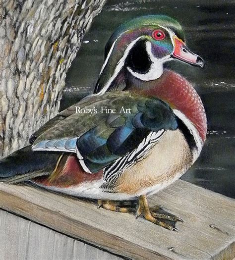 Wood Duck Art Print Franks Pair 5 X 7 Inch Giclee By Roby Baer Psa Etsy