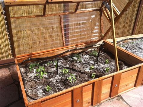 A Raised Bed Garden With Cold Frame And Drip Irrigation Cold Climate