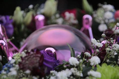 Flower Glass Sphere Bullet Free Photo On Pixabay Pixabay