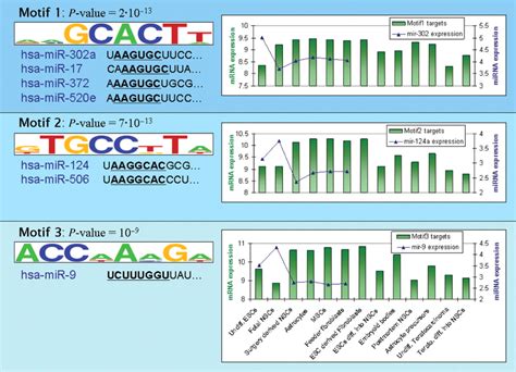 The Top Three Utr Motifs Identified In The Stem Cells Dataset