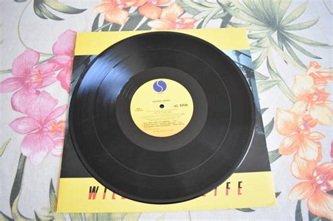 Vintage Talking Heads Wild Wild Life Maxi Single 45 Rpm Etsy