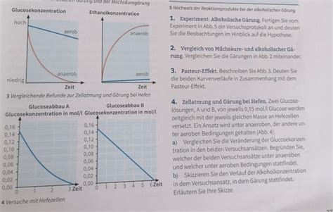 Gärung und Zellatmung Pasteur Effekt etc Forum Biologie