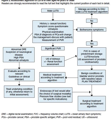 Male Luts Male Luts Eau Guidelines