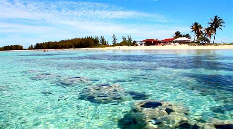 Snorkeling in freeport Bahamas | Bahamas vacation, Bahamas honeymoon ...