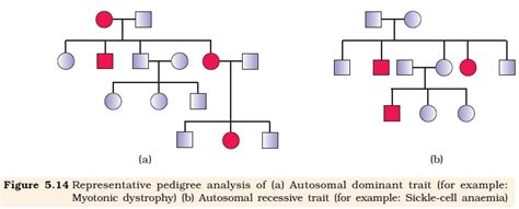 Autosomal Dominant Pedigree Chart Example The Chart