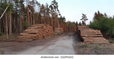 gekapt stock   pictures  images shutterstock