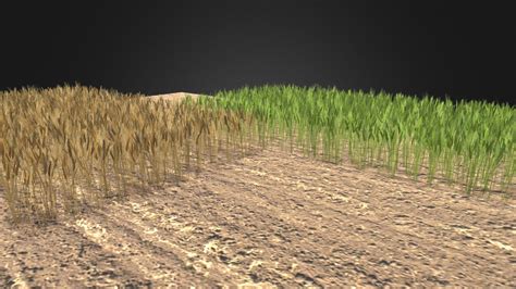 Wheat Field Buy Royalty Free 3d Model By Buncic 8ad64ef Sketchfab