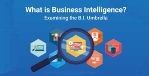 What Is Business Intelligence Bi Examples Why To Use Bi