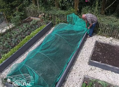 Comment Poser Un Filet Anti Oiseau Au Potager