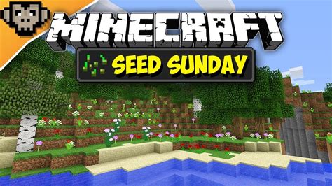 Minecraft Pe Flower Field Seed | Best Flower Site