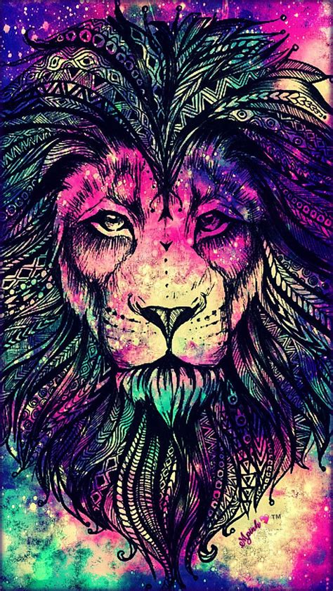 Lion Galaxy Wallpapers - Top Free Lion Galaxy Backgrounds - WallpaperAccess