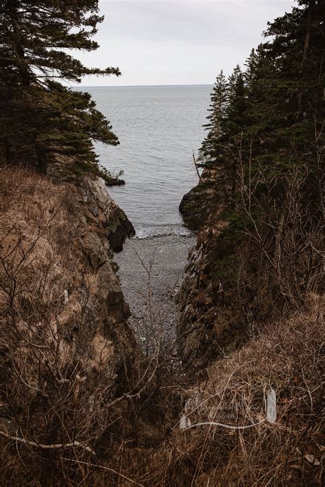 Hiking Cutler Coast Public Reserved Land — The Bearded Mainer