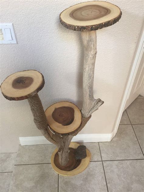 Driftwood Cat Tree And Scratching Post