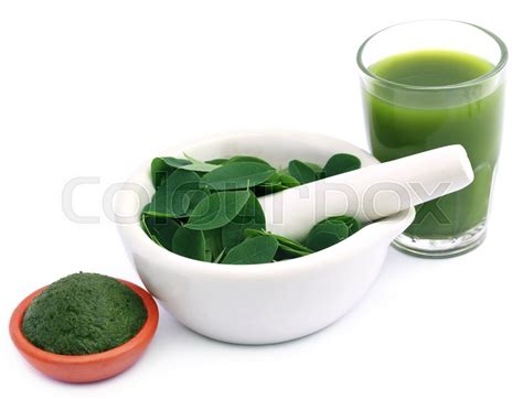 Edible Moringa Leaves With Extract And Stock Image Colourbox