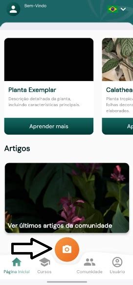 La mejor aplicación botánica para plantas