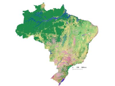 Brasil Perdeu Milh Es De Hectares Desde Aponta Mapbiomas