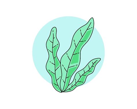 Premium Vector Seaweed Illustration With Cute Style