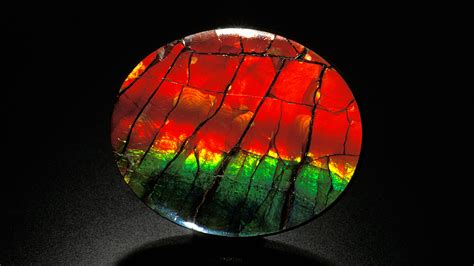 Ammolite The Fashionable Fossil