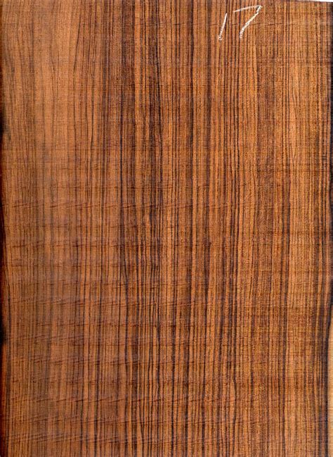 Brazilian Rosewood Set 17