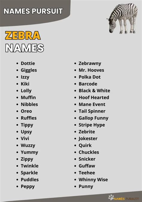 Zebra Names [440+ Unique, Cool, & Funny Ideas]