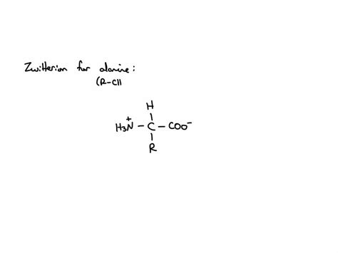 Solved Draw The Zwitterion For The Amino Acid Alanine The R Group