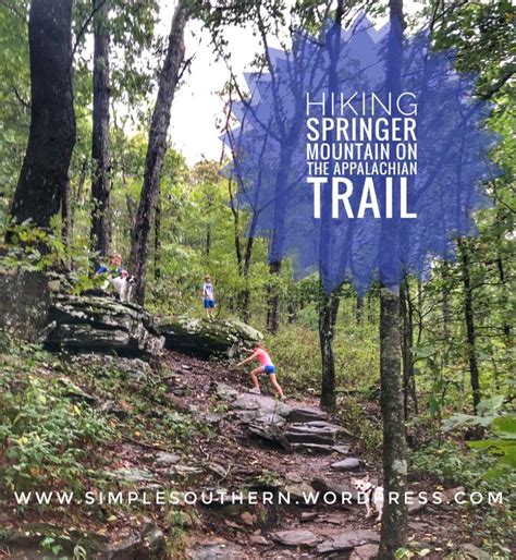 Hiking Springer Mountain on the Appalachian Trail | Appalachian trail ...