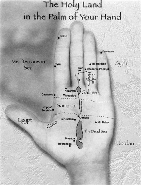 adam  eve family tree wall chart artofit